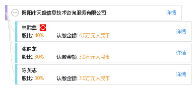 揭阳市天盛信息技术咨询服务